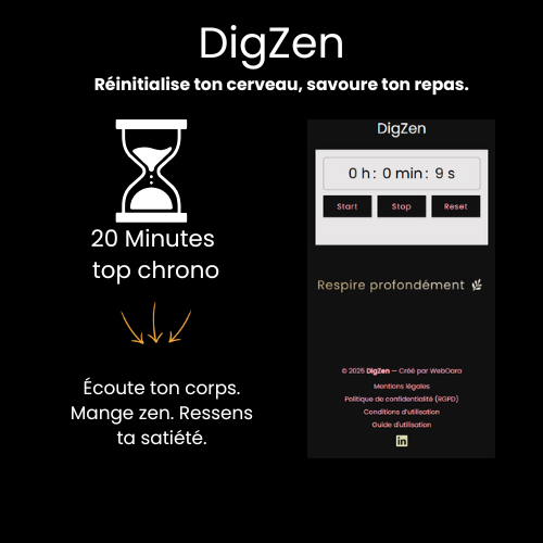 DigZen poster